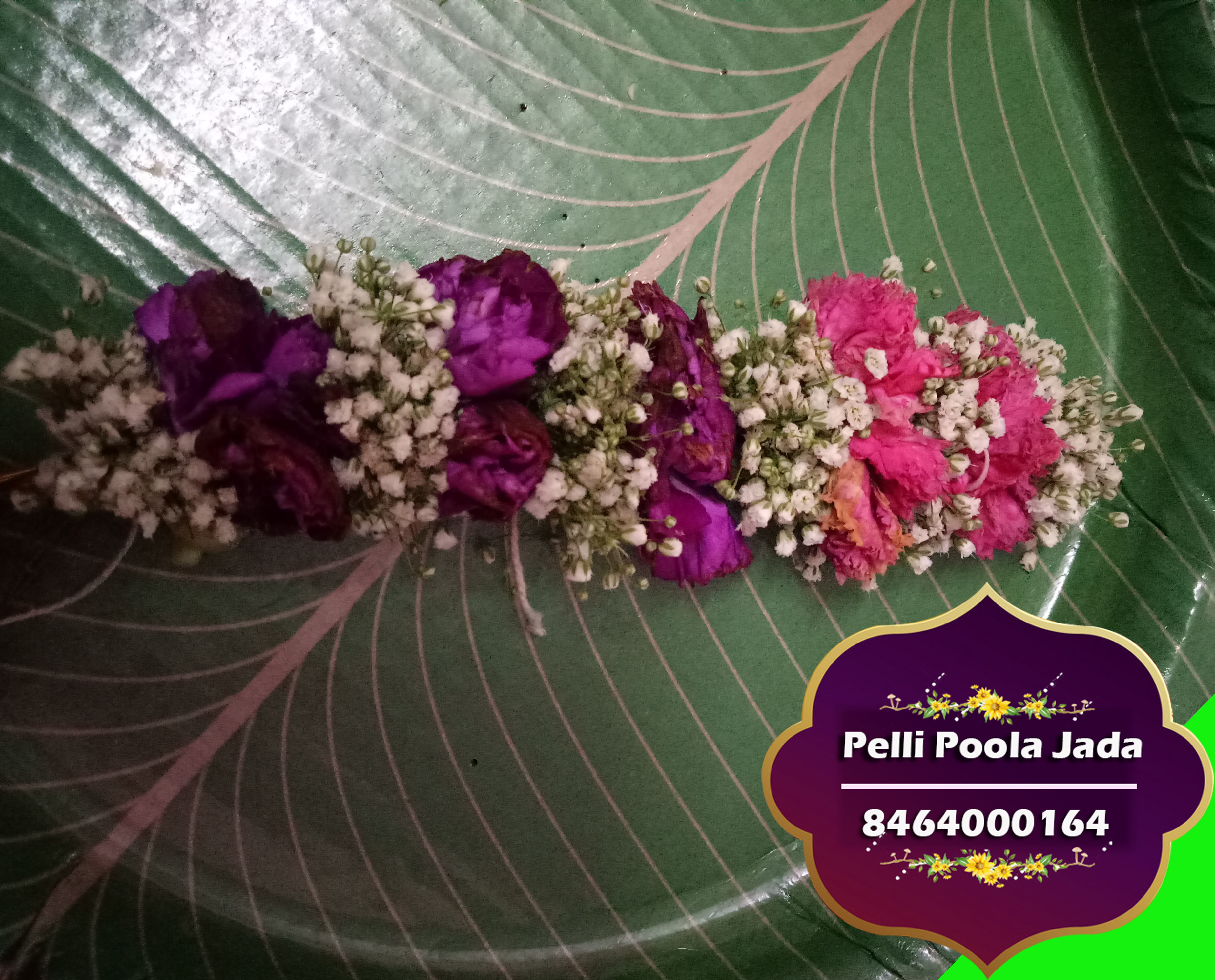 pelli poola jada 8464000164